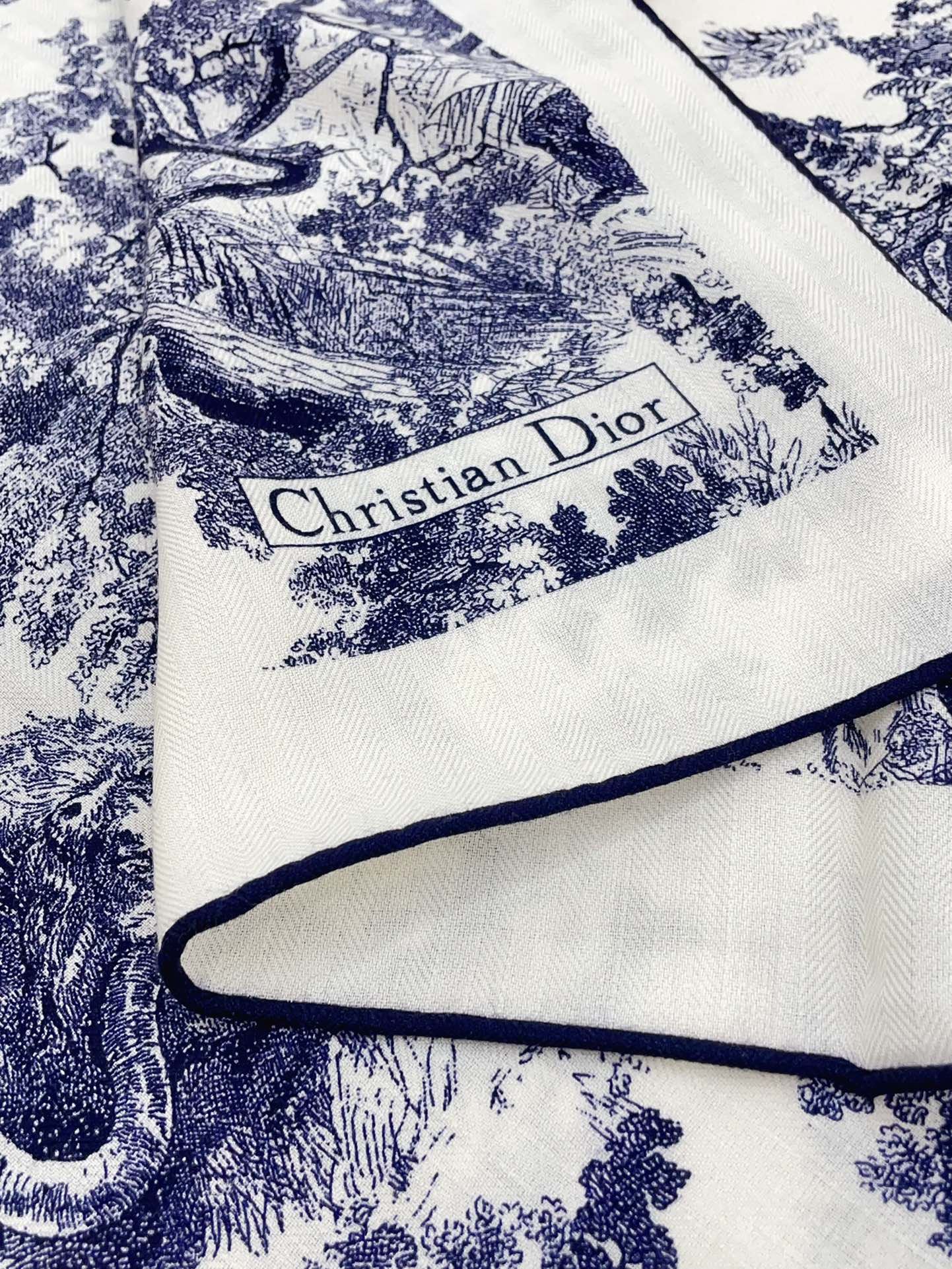 Christian Dior Scarf